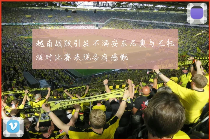 越南战败引发不满安东尼奥与王钰栋对比赛表现各有感慨