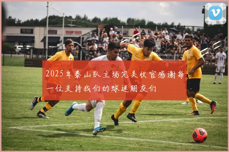 2025年泰山队主场完美收官感谢每一位支持我们的球迷朋友们
