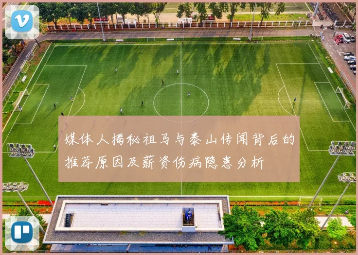 媒体人揭秘祖马与泰山传闻背后的推荐原因及薪资伤病隐患分析