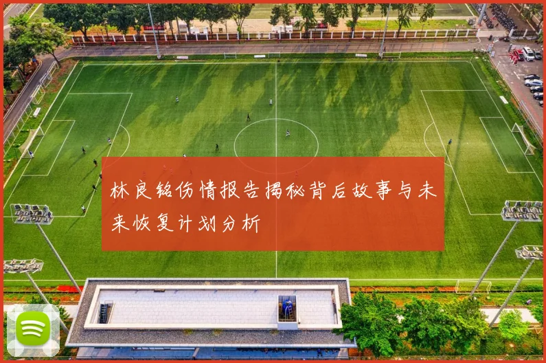 林良铭伤情报告揭秘背后故事与未来恢复计划分析