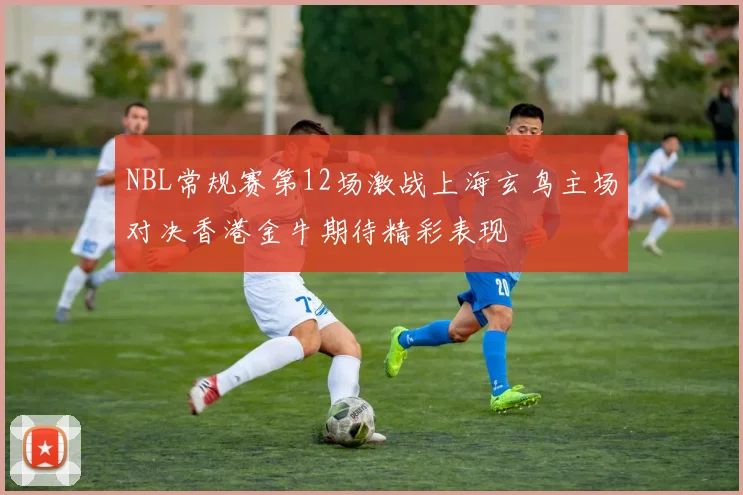 NBL常规赛第12场激战上海玄鸟主场对决香港金牛期待精彩表现