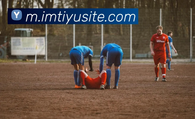 IM体育平台生态图